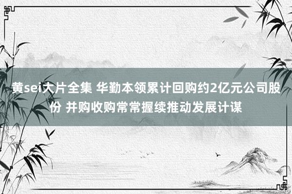 黄sei大片全集 华勤本领累计回购约2亿元公司股份 并购收购常常握续推动发展计谋