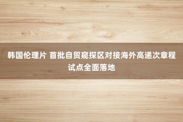 韩国伦理片 首批自贸窥探区对接海外高递次章程试点全面落地