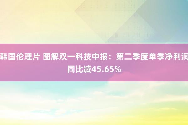 韩国伦理片 图解双一科技中报：第二季度单季净利润同比减45.65%