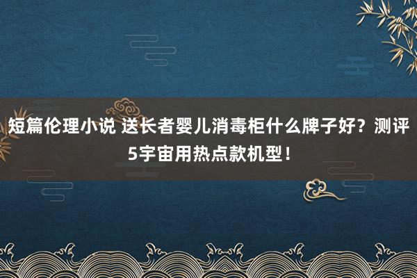 短篇伦理小说 送长者婴儿消毒柜什么牌子好？测评5宇宙用热点款机型！