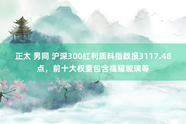 正太 男同 沪深300红利质料指数报3117.48点，前十大权重包含福耀玻璃等