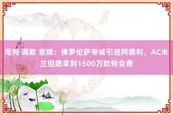 母狗 调教 意媒：佛罗伦萨专诚引进阿德利，AC米兰但愿拿到1500万欧转会费