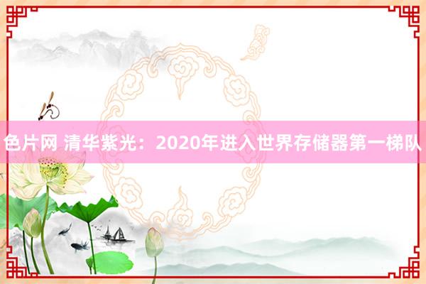 色片网 清华紫光：2020年进入世界存储器第一梯队