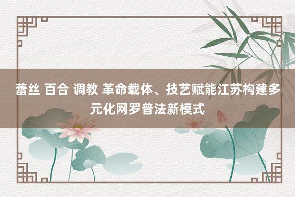 蕾丝 百合 调教 革命载体、技艺赋能江苏构建多元化网罗普法新模式