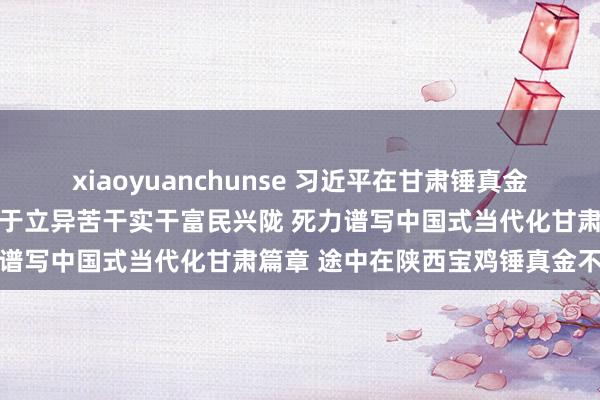 xiaoyuanchunse 习近平在甘肃锤真金不怕火时强调 深化革新敢于立异苦干实干富民兴陇 死力谱写中国式当代化甘肃篇章 途中在陕西宝鸡锤真金不怕火