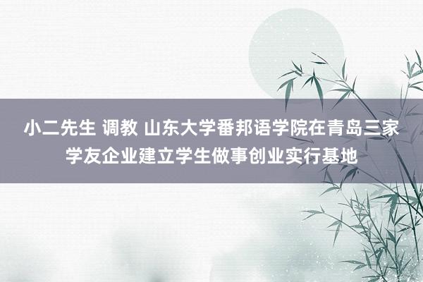 小二先生 调教 山东大学番邦语学院在青岛三家学友企业建立学生做事创业实行基地