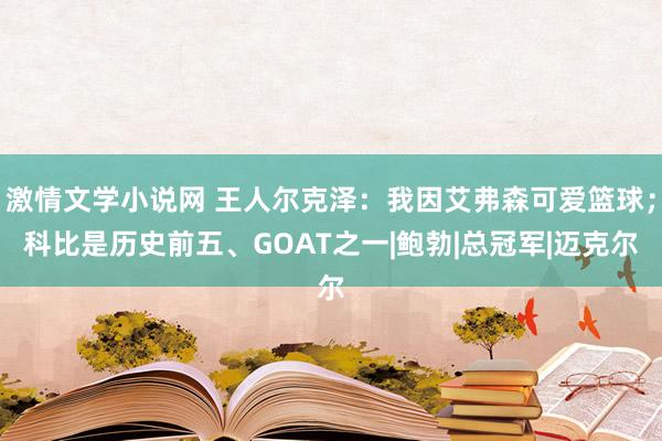 激情文学小说网 王人尔克泽：我因艾弗森可爱篮球；科比是历史前五、GOAT之一|鲍勃|总冠军|迈克尔